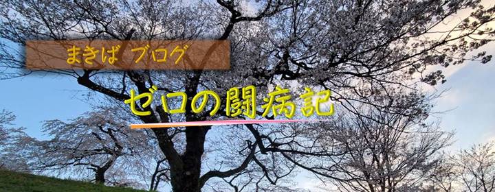 大部屋 いびき対策 睡眠入院の大部屋 耳栓 知恵袋 入院の不眠症対策 夜を快適 殺意 イヤホン ワイヤレス 闘病記 膠原病 全身性エリテマトーデス ｓｌｅ ゼロの闘病記 まきばブログ